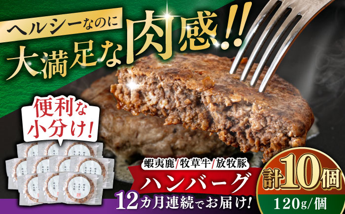 【全12回定期便】【蝦夷鹿×牧草牛×放牧豚】ハンバーグ 10個《厚真町》【GOODGOOD株式会社】 ハンバーグ 鹿肉 牛肉 豚肉 小分け 冷凍配送 北海道 [AXBP033]