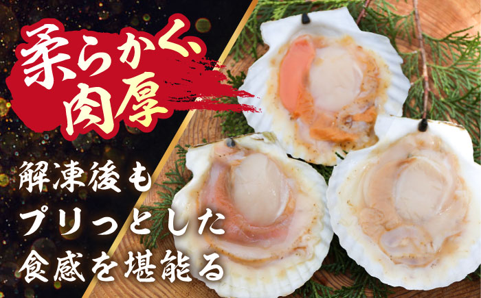 【数量限定】純天然 半殻つき 冷凍ホタテ 2袋セット《厚真町》【鵡川漁業協同組合】 ほたて ホタテ 帆立 海鮮 冷凍配送 北海道 [AXAL001]