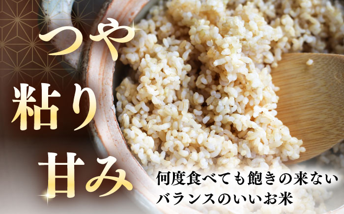 【全2回定期便】【玄米】さくら米 10kg《厚真町》【とまこまい広域農業協同組合】 米 お米 玄米 ご飯 ななつぼし 一等米 特A 北海道 [AXAB079]