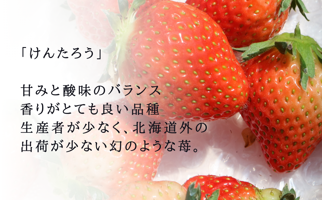 【5月以降順次発送】春夏イチゴ「けんたろう」計600g《厚真町》【こばやしいちご農園】 [AXBT001]