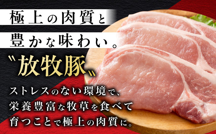 【衣付き】放牧豚 とんかつ用豚肉 10枚【GOODGOOD株式会社】 豚肉 とんかつ トンカツ 豚カツ 簡単調理 個包装 精肉 冷凍配送 北海道 [AXBP001]