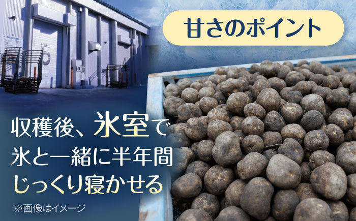 【先行予約商品】【5月中旬から発送予定！】氷室メークイン 5kg《厚真町》【とまこまい広域農業協同組合】 じゃがいも ジャガイモ 芋 メークイン 野菜 先行予約 北海道 [AXAB046]