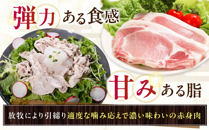 放牧豚ロース 豚丼の具 計1280g（160g×8）《厚真町》　【ファーマーズファクトリー株式会社】 [AXBA143]