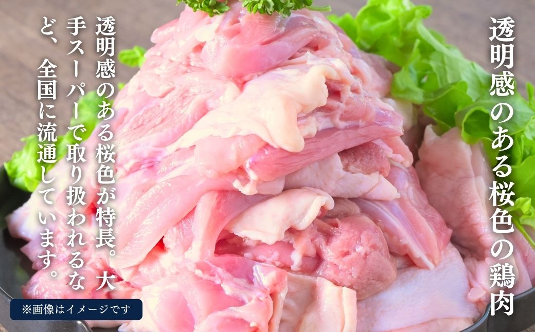 銘柄鶏 桜姫 鶏肉 もも肉 角切り2kg 北海道 厚真町 国産 