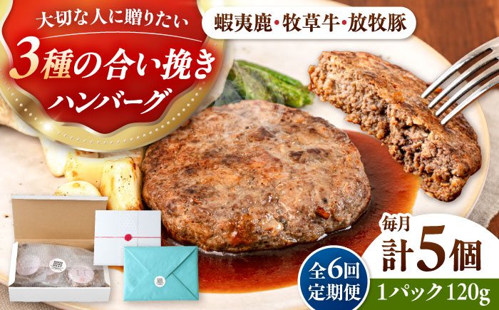【全6回定期便】【蝦夷鹿×牧草牛×放牧豚】ハンバーグ 5個 《厚真町》【GOODGOOD株式会社】 ハンバーグ ギフト 鹿肉 牛肉 豚肉 小分け 冷凍配送 北海道 [AXBP020]