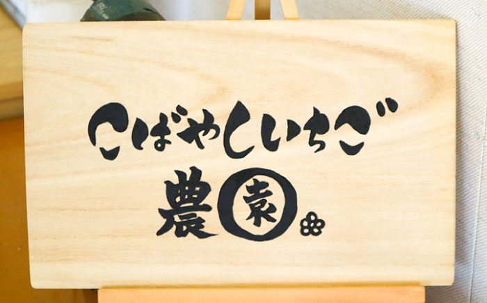 【先行予約 2026年5月以降順次発送】春夏イチゴ「けんたろう」計600g《厚真町》【こばやしいちご農園】 [AXBT001]