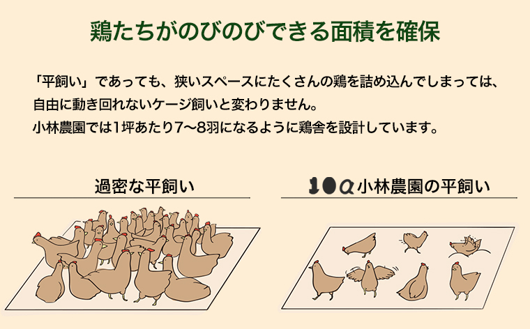 【全3回定期便】こだわりの無投薬･平飼い有精卵 50個/月 《厚真町》【テンアール株式会社】 [AXAN001]