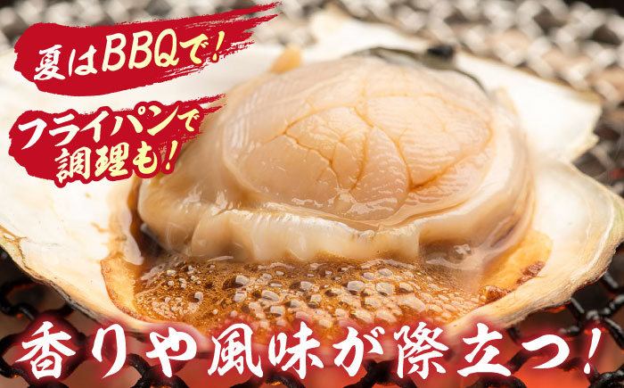 【数量限定】純天然 半殻つき 冷凍ホタテ 2袋セット《厚真町》【鵡川漁業協同組合】 ほたて ホタテ 帆立 海鮮 冷凍配送 北海道 [AXAL001]