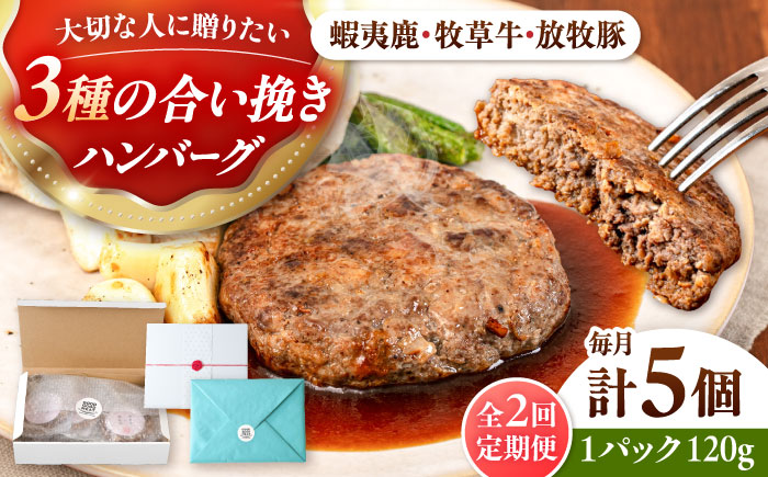 【全2回定期便】【蝦夷鹿×牧草牛×放牧豚】ハンバーグ 5個 《厚真町》【GOODGOOD株式会社】 ハンバーグ ギフト 鹿肉 牛肉 豚肉 小分け 冷凍配送 北海道 [AXBP018]