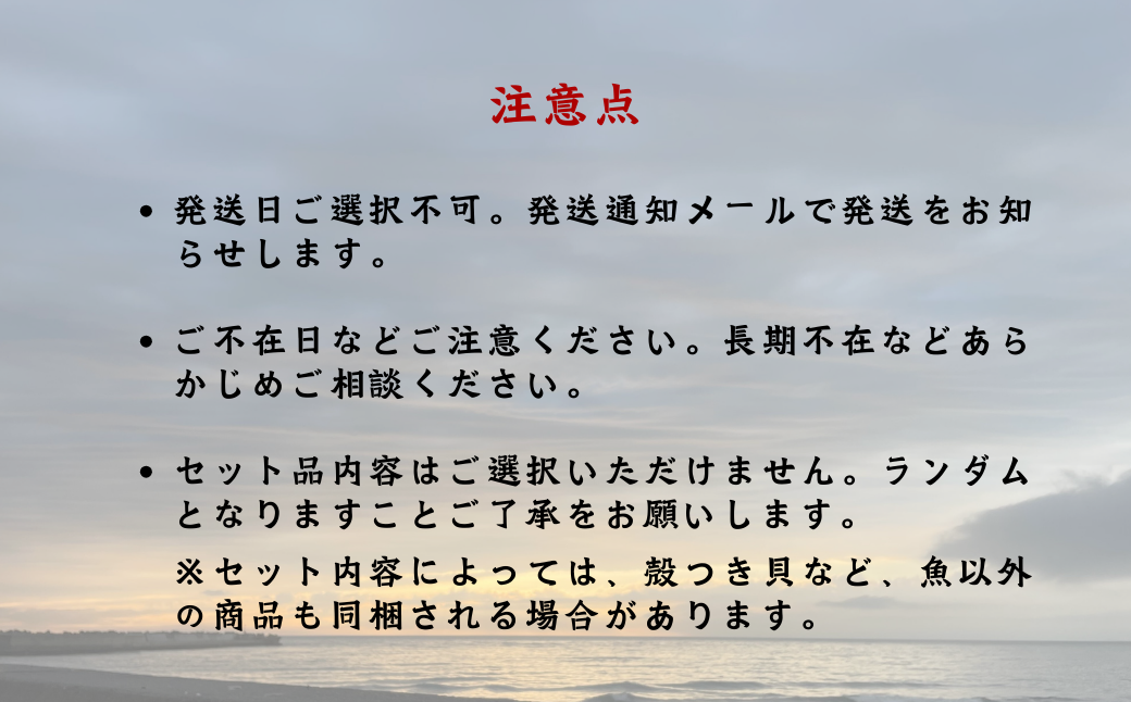 漁港直送！季節のおまかせ鮮魚 3kgセット 《厚真町》【鵡川漁業協同組合】 [AXAL002]