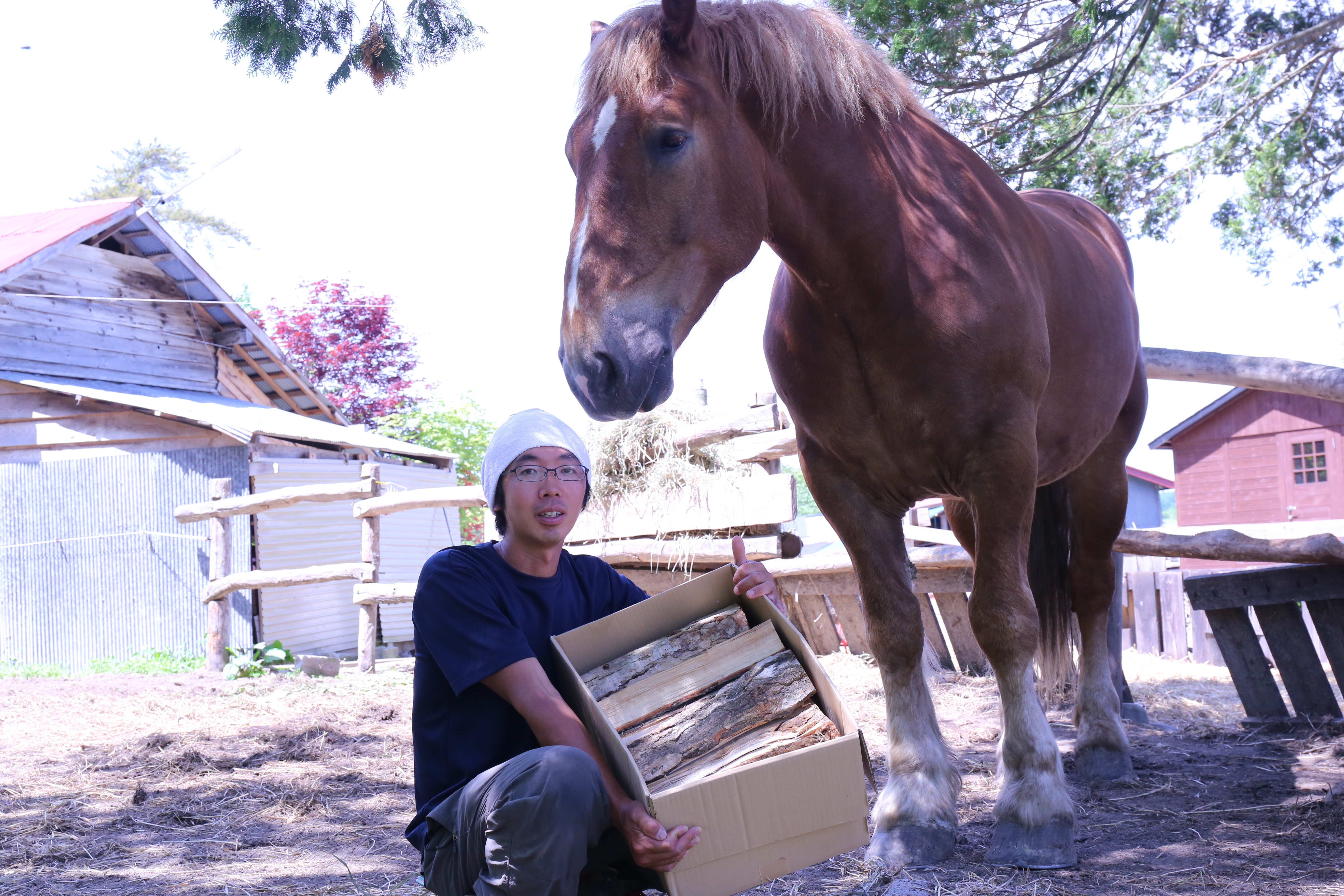 ＜馬の林業＞西埜馬搬の北海道ナラ薪100kg