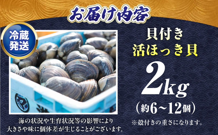 厚真町近海で獲れた 活ほっき貝 2kg（約6〜12個）《厚真町》【鵡川漁業協同組合】 ほっき ほっき貝 ホッキ ホッキ貝 北寄貝 海鮮 冷蔵配送 北海道 [AXAL005]