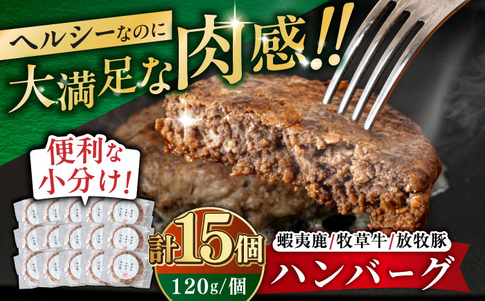 【蝦夷鹿×牧草牛×放牧豚】ハンバーグ 15個【GOODGOOD株式会社】 ハンバーグ 鹿肉 牛肉 豚肉 小分け 冷凍配送 北海道 [AXBP005]