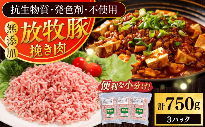 放牧豚 挽き肉 計750g（250g×3）《厚真町》　【ファーマーズファクトリー株式会社】 [AXBA121]