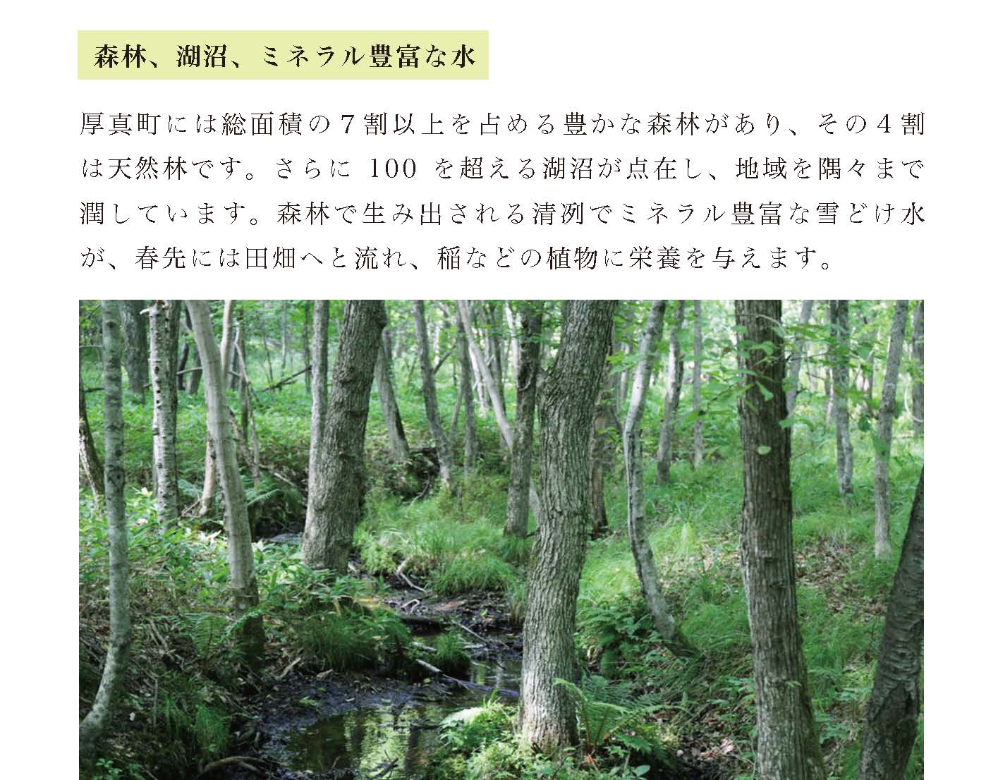 〈令和6年産 新米〉北海道厚真町ブランド米【玄米】さくら米10kg