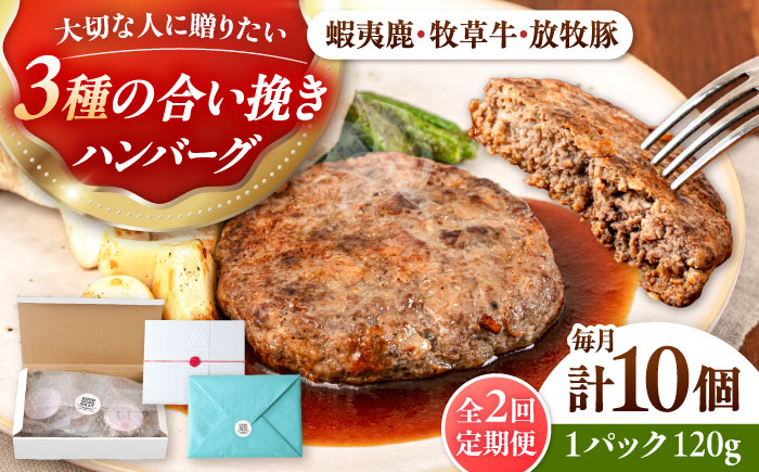 【全2回定期便】【蝦夷鹿×牧草牛×放牧豚】ハンバーグ 10個《厚真町》【GOODGOOD株式会社】 ハンバーグ ギフト 鹿肉 牛肉 豚肉 小分け 冷凍配送 北海道 [AXBP030]