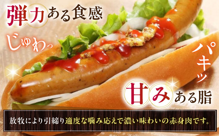 放牧豚 粗挽きウインナー ホットドッグ用　900g(20本)《厚真町》　【ファーマーズファクトリー株式会社】 ソーセージ 無塩せき 無添加 北海道 [AXBA089]