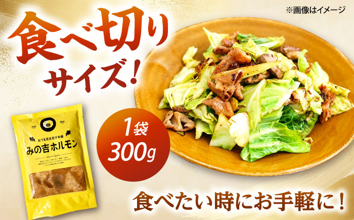 みの吉ホルモン 計1.2kg（300g×4パック）《厚真町》【有限会社市原精肉店】 ほるもん ミノ 豚肉 焼肉 BBQ 味付き 味付きホルモン 味付けホルモン 小分け 冷凍 北海道 [AXAA032]