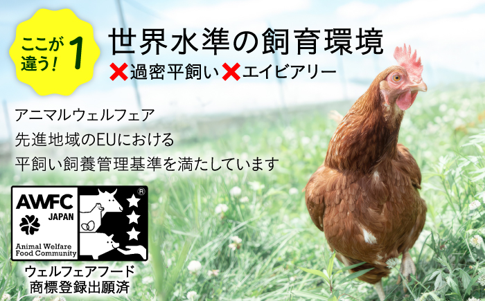 【月2回・全12回定期便】小林農園の平飼いたまご・無投薬 50個《厚真町》【テンアール株式会社】 有精卵 卵 鶏卵 玉子 生卵 平飼い 北海道 定期便 [AXAN022]