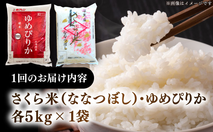 【全3回定期便】【令和6年産新米】北海道のお米2種食べ比べ 計10kg（さくら米・ゆめぴりか）《厚真町》 【とまこまい広域農業協同組合】 お米 ご飯 ゆめぴりか [AXAB071]