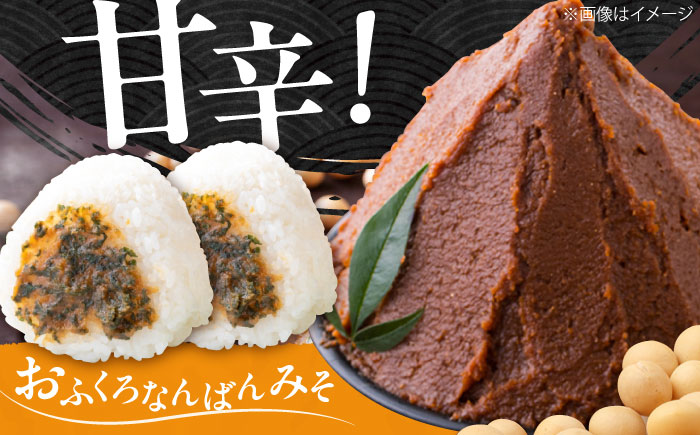 特製 手づくりおふくろみそセット 計4.65kg《厚真町》【とまこまい広域農業協同組合】 味噌 みそ 味噌汁 なんばん 無添加 北海道[AXAB038]