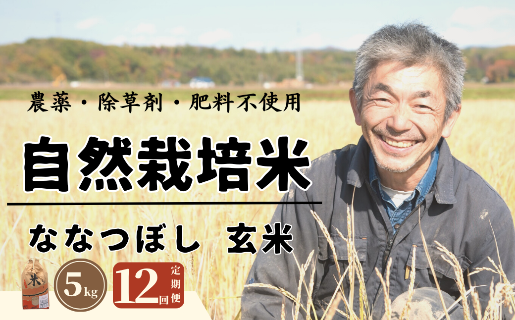 【全12回定期便】＜令和6年産新米＞自然栽培米「角田玄米」 5kg 《厚真町》【カクタファーム】 [AXAR003]