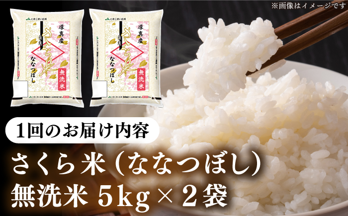 【全6回定期便】【無洗米】【新米 令和7年産】さくら米（ななつぼし）10kg《厚真町》【とまこまい広域農業協同組合】 米 定期便 6ヵ月 半年 毎月 お米 無洗米 白米 ななつぼし 北海道 AXAB012]