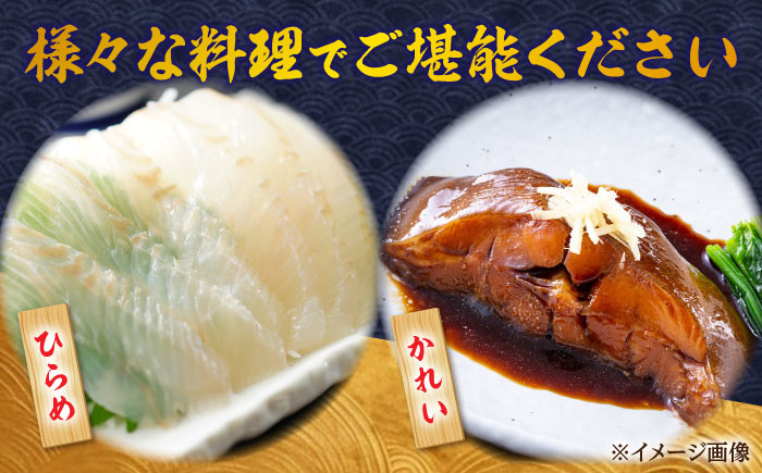 【北海道】漁港直送！季節のおまかせ鮮魚 3kgセット《厚真町》【鵡川漁業協同組合】海鮮 朝獲れ 産地直送 セット 詰め合わせ 冷蔵配送 北海道 [AXAL002]