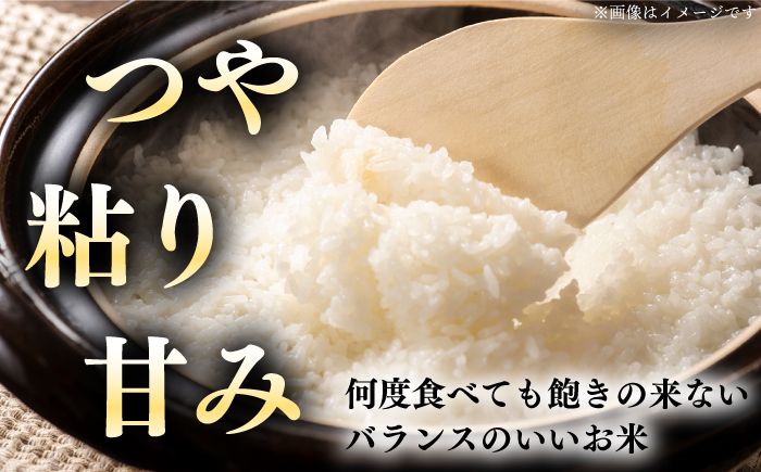 【全6回定期便】【令和6年産】【特A】一等米 さくら米（ななつぼし）10kg《厚真町》【とまこまい広域農業協同組合】  米 お米 白米 ななつぼし 特A 一等米 北海道[AXAB023]