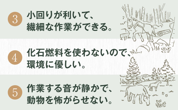 【全2回定期便】北海道 ナラ薪 100kg（20kg×5箱）《厚真町》【西埜馬搬】 薪 まき 薪ストーブ ストーブ キャンプ 北海道 定期便 [AXBE006]
