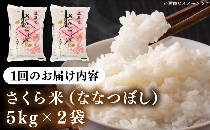 【全6回定期便】【令和6年産】【特A】一等米 さくら米（ななつぼし）10kg《厚真町》【とまこまい広域農業協同組合】  米 お米 白米 ななつぼし 特A 一等米 北海道[AXAB023]