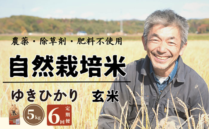 【全6回定期便】　【玄米】自然栽培米 角田玄米 ゆきひかり 5kg 《厚真町》 【カクタファーム】 米 お米 玄米 ゆきひかり ご飯 北海道 [AXAR008]