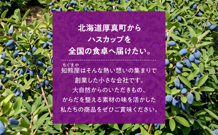 北海道厚真町産ハスカップジャム4瓶セット《厚真町》【株式会社知熊屋】 [AXBN002]