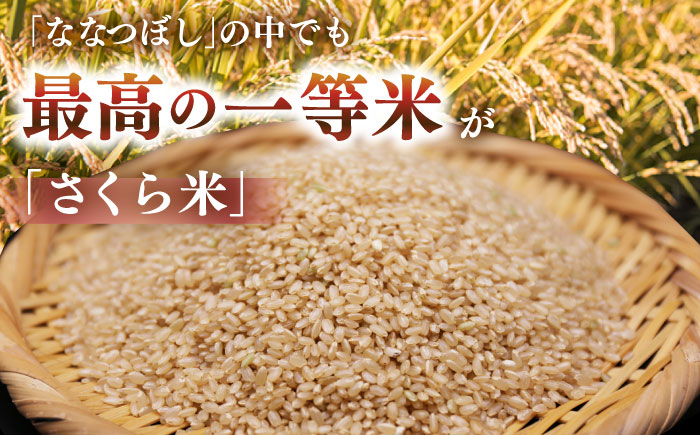 【隔月全3回定期便】【玄米】さくら米 10kg《厚真町》【とまこまい広域農業協同組合】 米 お米 玄米 ご飯 ななつぼし 一等米 特A 北海道 [AXAB082]