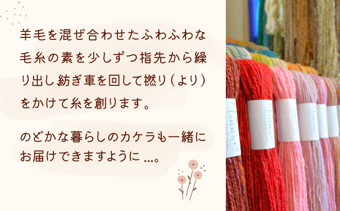 北海道産 手つむぎ毛糸 80g 《厚真町》【tenna+】 手つむぎ 手紡ぎ 手紡ぎ毛糸 毛糸 ウール 羊毛 手芸 手づくり ハンドメイド 北海道 [AXAY004]