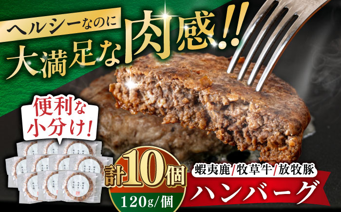 【蝦夷鹿×牧草牛×放牧豚】ハンバーグ 10個【GOODGOOD株式会社】 ハンバーグ 鹿肉 牛肉 豚肉 小分け 冷凍配送 北海道 [AXBP004]