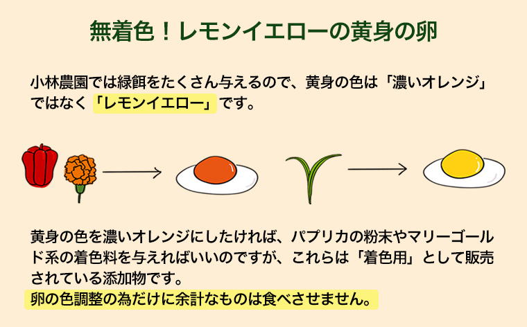 【全12回定期便】こだわりの無投薬･平飼い有精卵 50個/月 《厚真町》【テンアール株式会社】 [AXAN003]