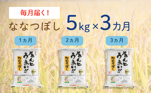 〈令和6年産 新米〉3ヵ月!毎月届く定期便ななつぼし5kg