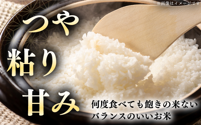 【全6回定期便】【無洗米】【令和7年産】さくら米（ななつぼし）5kg《厚真町》【とまこまい広域農業協同組合】 米 定期便 6ヵ月 半年 毎月 お米 無洗米 白米 ななつぼし 北海道 定期便[AXAB009]