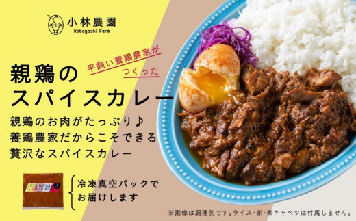 【全6回定期便】親鶏のスパイスカレー 5個（辛口）《厚真町》【テンアール株式会社】 カレー スパイスカレー 辛口 鶏 鶏肉 平飼い 冷凍配送 北海道 [AXAN087]