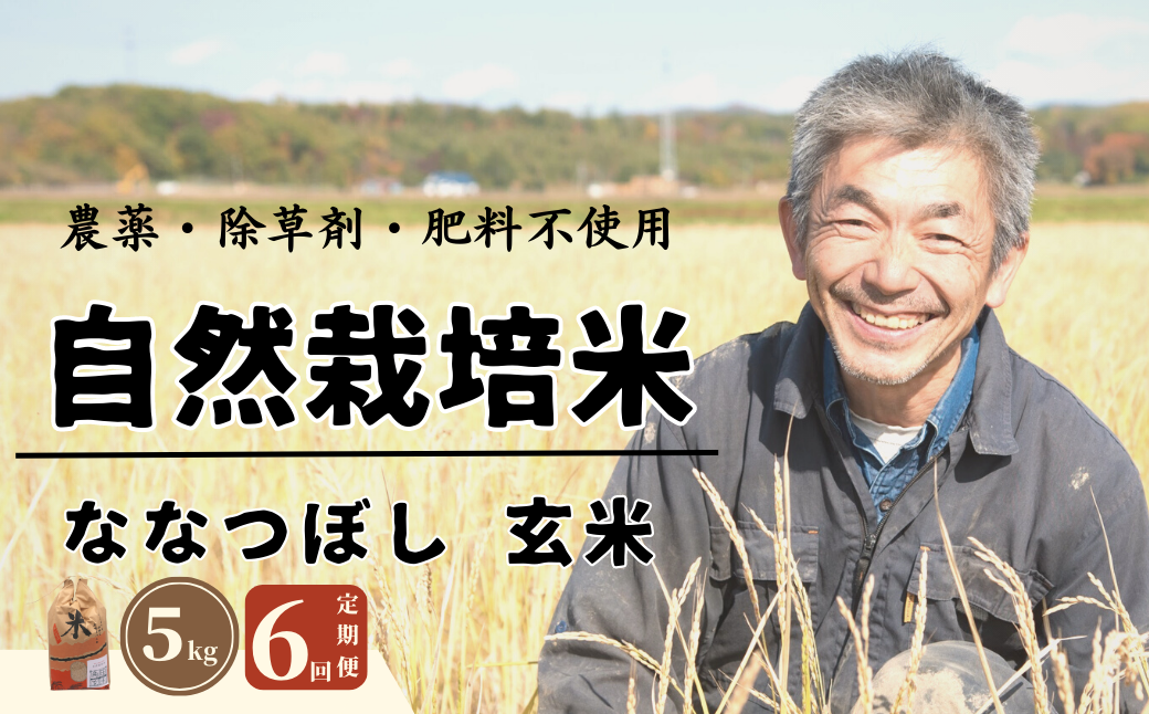 【全6回定期便】【令和6年産】【玄米】 自然栽培米「角田玄米」5kg《厚真町》【カクタファーム】 米 お米 玄米 ご飯 北海道 定期便 [AXAR002]