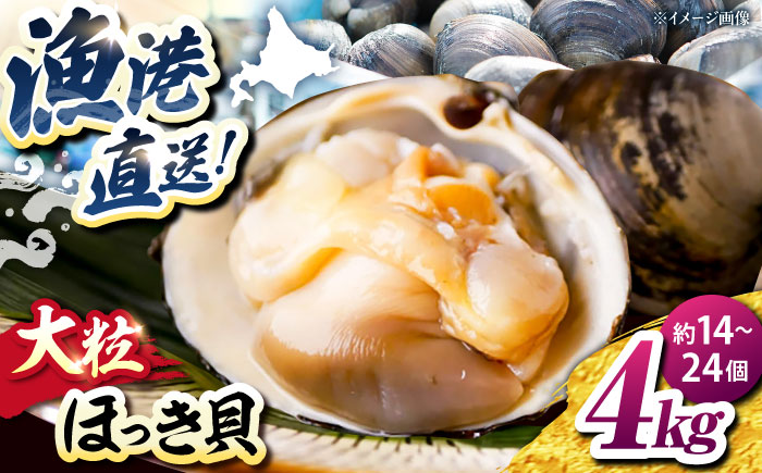 厚真町近海で獲れた 活ほっき貝 4kg（約14〜24個）《厚真町》【鵡川漁業協同組合】 ほっき ほっき貝 ホッキ ホッキ貝 北寄貝 海鮮 冷蔵配送 北海道 [AXAL006]