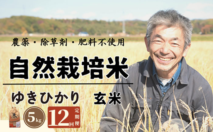 【全12回定期便】　【玄米】自然栽培米 角田玄米 ゆきひかり 5kg 《厚真町》 【カクタファーム】 米 お米 玄米 ゆきひかり ご飯 北海道 [AXAR009]