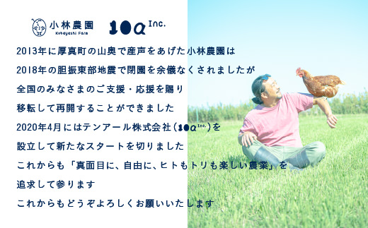 【全6回定期便】こだわりの無投薬･平飼い有精卵 50個/月 《厚真町》【テンアール株式会社】 [AXAN002]