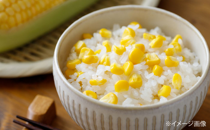 【2026年8月下旬発送予定】北海道厚真産とうもろこし おおもの 《厚真町》【(株)厚真ファーム】旬の野菜 夏野菜 大粒 高糖度 甘い トウモロコシ トウキビ 唐黍 コーン [AXAE001] 15000 15000円