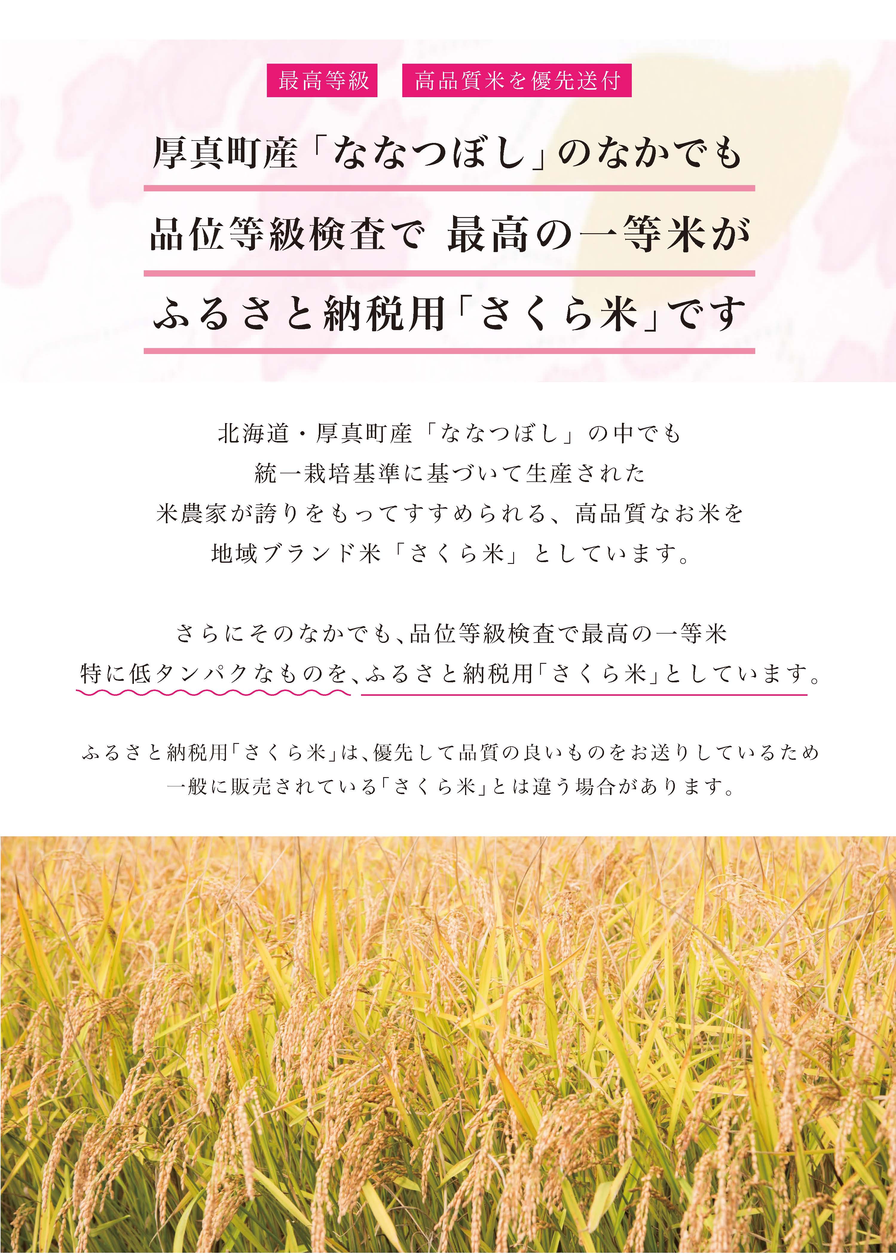 〈令和6年産 新米〉北海道厚真のブランド米「さくら米（ななつぼし）【無洗米】」半年間毎月5㎏