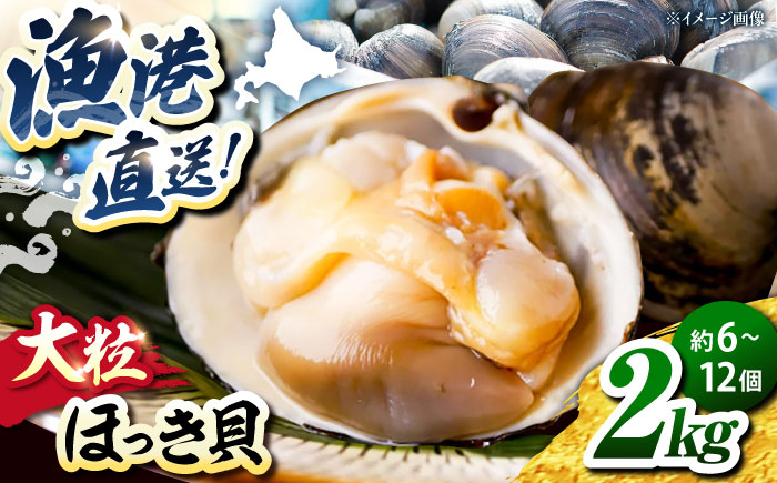 厚真町近海で獲れた 活ほっき貝 2kg（約6〜12個）《厚真町》【鵡川漁業協同組合】 ほっき ほっき貝 ホッキ ホッキ貝 北寄貝 海鮮 冷蔵配送 北海道 [AXAL005]