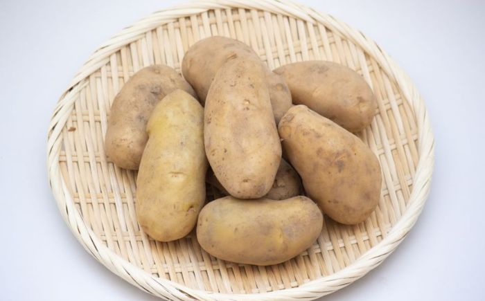 【2026年10月中旬頃発送予定】じゃがいも 先行予約 北海道 厚真ファームのこだわりじゃがいも メークイン 10kg《厚真町》【(株)厚真ファーム】令和8年産 ジャガイモ 芋 いも [AXAE002] 8000 8000円