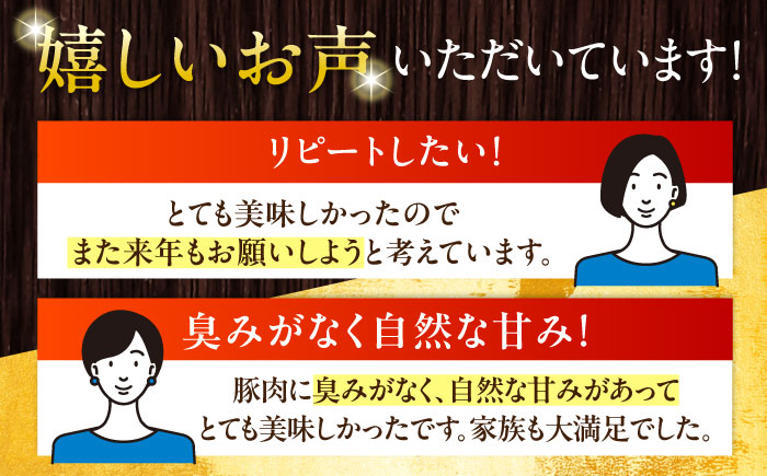 放牧豚 粗挽きウインナー ホットドッグ用　900g(20本)×2《厚真町》　【ファーマーズファクトリー株式会社】 ソーセージ 無塩せき 無添加 北海道 [AXBA090]