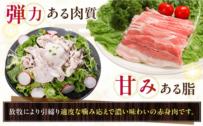 放牧豚 しゃぶしゃぶ2種セット 計1,310g 《厚真町》【ファーマーズファクトリー株式会社】 [AXBA155]